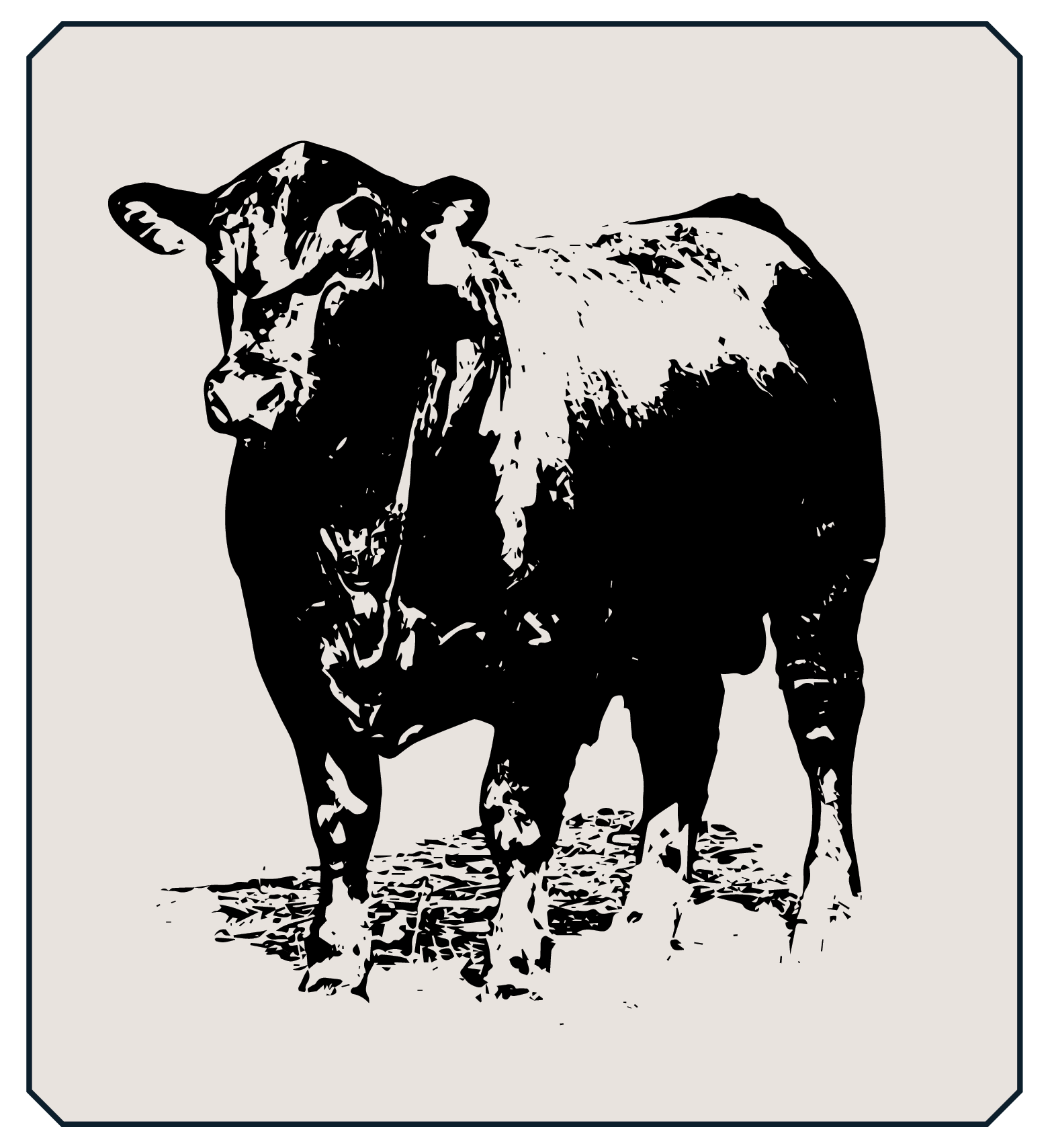 Sketch of Bull