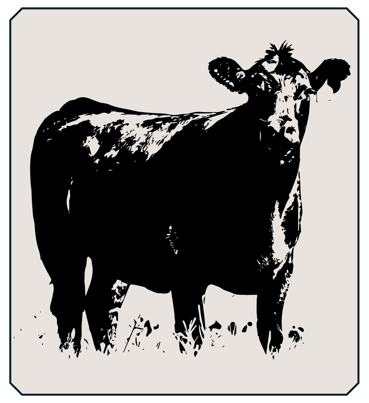 Sketch of cow